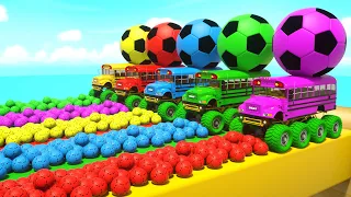 Bingo Song + Wheels On the Bus-Soccer balls and big colorful slides-Baby Nursery Rhymes & Kids Songs