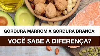 Gordura Marrom X Gordura Branca: Você Sabe a Diferença?