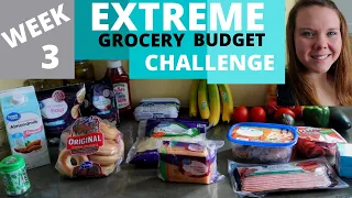 EXTREME GROCERY BUDGET CHALLENGE || FEBRUARY WEEK 3