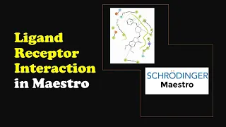 Ligand Receptor Interaction  in Maestro