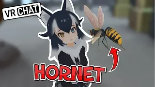 [VRChat] Creepy Hornet Model Swarms VRChat users