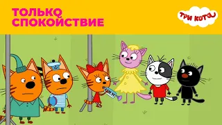 Три кота | Сезон 3 | Только спокойствие