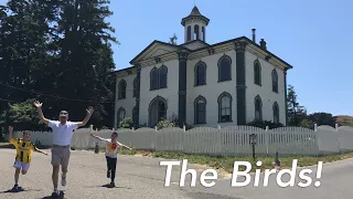 Roadtrip USA Vlog - The Birds filming locations in Bodega Bay