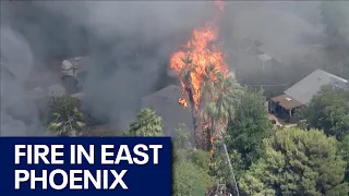 Crews battle East Phoenix fire involving trees, structures