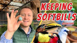 Softbills - Breeding & Husbandry of tropical Birds (Aracaris, Toucans and Mynah Birds)