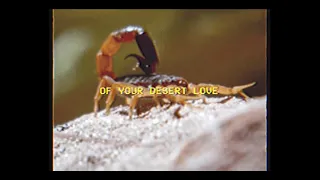 M!R!M feat. Nuovo Testamento - Desert Love (Official Lyric Video)