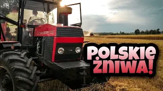 ㋛︎Żniwa w Polskim stylu✩Vixa㋛︎Gopro na dachu✩㋛︎Żniwa 2020✩60 daje w palnik㋛︎Bizon,Zetor,Ursus✩