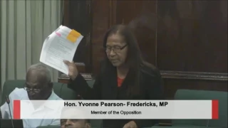 Hon. Yvonne P. Fredericks presentation on motion to restore zero-rated items on VAT list