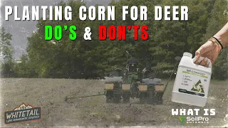 How To Plant Corn For Deer | HOW I SAVED THOUSANDS