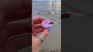 LOOKING FOR FIDGETS at the BEACH! 🌊😱👙 *weird amazon fidgets*