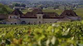 France’s Saint-Emilion: A red wine lover’s paradise