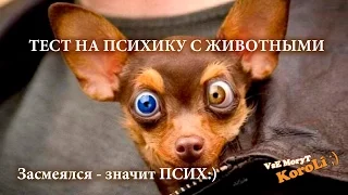 ТЕСТ НА ПСИХИКУ. Засмеешься - значит ПСИХ! #4 VsE MoгyT KopoLi Приколы с животными!