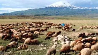 Dle Yaman  Anatolian Armenian Folk Song