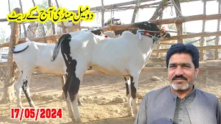 Today Domail Mandi Fatehjang Rate’s update 17May-2024-Part02Sunny Video Fateh Jang دومیل منڈی کے ریٹ