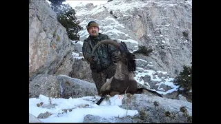 #Extreme #Anatolian #Bezoar #ibex #Hunting #Record Suat Mert #Teke #avı #mountain #Man #Wildlife