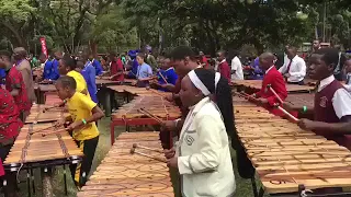 Zimbabwe is the new Guinness World record holder for the biggest Marimba ensemble