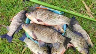 CRUCIAN CARP MONSTERS ON THE FLOAT!!! FISHING FOR LARGE CRUCIAN CARP IN SPRING