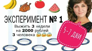 Меню № 12 (День 5-7) | Эксперимент № 1 | Выжить на 2000 р 3 недели 3 человека