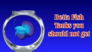 Betta Fish Tanks you should not get