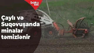 Çaylı və suqovuşanda minatəmizləmə əməliyyatı - Baku TV