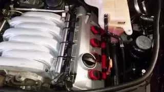 2005 Audi A6, 4.2L V8, Oil Leak locations (SOLVED See Description/Comments)