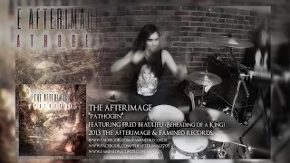 The Afterimage - Pathogen | Mark Mironov Drum Cover