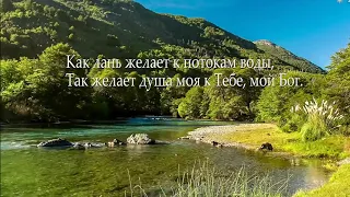 Как лань желает.. Accordion instrumental music.