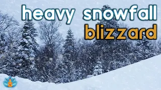 Heavy Snowfall: Snowstorm Ambience: Blizzard and Howling Wind Sounds for Sleep / Relax