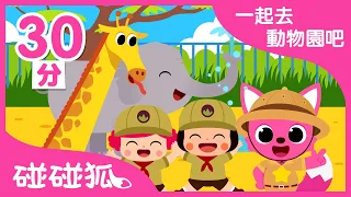 和碰碰狐一起去動物園吧 | 兒童早教認知｜動物園線上看｜連續播放｜動物兒歌 臺灣配音｜碰碰狐Pinkfong