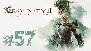 Прохождение Divinity II - Часть 57 (Сдаем квесты)