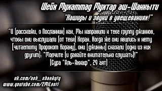 Нашиды в увещеваниях. Шейх Мухаммад мухтар Аш-Шанкыти.