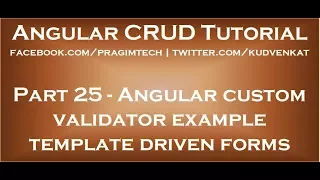 Angular custom validator example template driven forms
