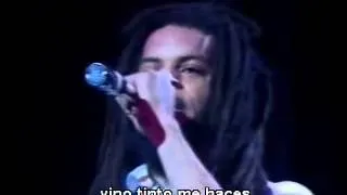 UB40   Red red wine (traducido).avi