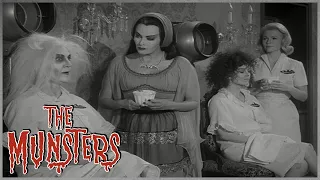 Lily and Marilyn Open a Beauty Parlor | The Munsters