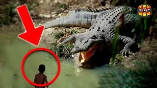 5 HALLAZGOS INCREÍBLES En El AMAZONAS (Parte 2)