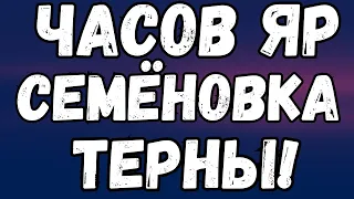 Часов Яр, Семёновка, Терны. Сводка с фронта!