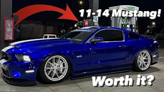 *Should you buy a 11-14 Mustang!??*