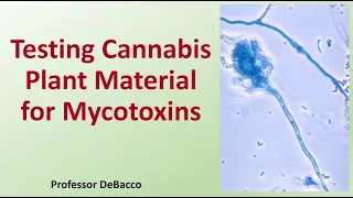 Testing Cannabis Plant Material for Mycotoxins