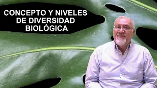 Biología: Concepto y niveles de diversidad biológica