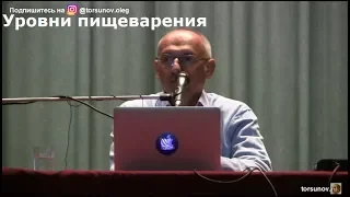 Торсунов О.Г.  Уровни пищеварения