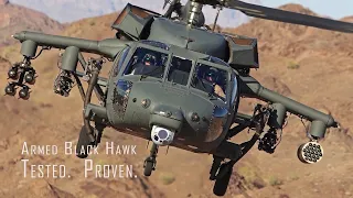 Armed Black Hawk para o Brasil - Comandante da Aviação do Exército vai a  Abu Dhabi!