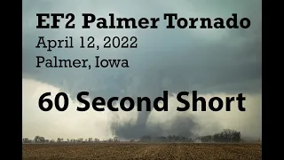 EF2 Palmer Tornado Birth