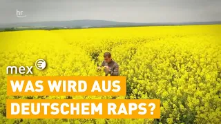 Rapeseed fields - how farmers look at the edible oil problem | Mex