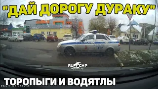 Автоподборка "Дай Дорогу Дураку"🚓Торопыги и Водятлы#366