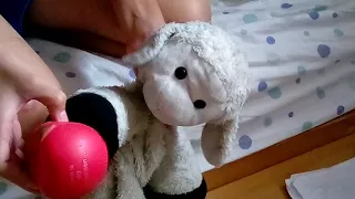 LIFE HACKS WITH BAA!