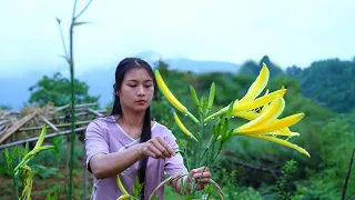 Growing Giant Yellow Flowers from Seed to Harvest