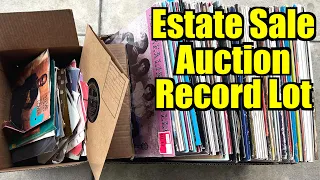 What's In This Estate Sale Auction Vinyl Record Lot?