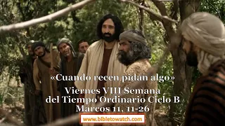 Viernes VIII Semana del Tiempo Ordinario Ciclo B: Marcos 11, 11-26 #Bibletowatch