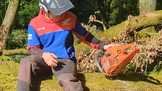 Is the 362xp the cheapest Professional Husqvarna Chainsaw you can buy second hand?