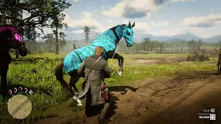 ARTHUR CATCH A BEAUTIFUL CUSTOM HORSE - Red Dead Redemption 2 Gameplay